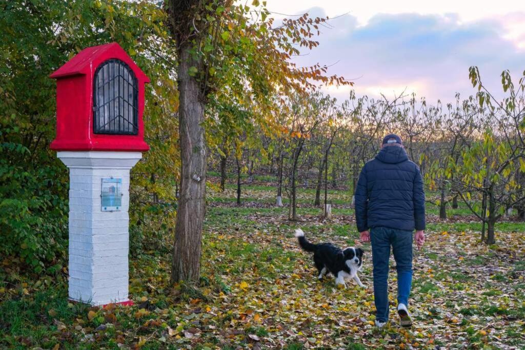 Hasbania Vakantiewoning Appartement Gingelom Buitenkant foto