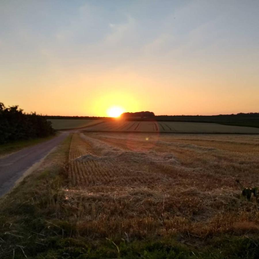 Hasbania Vakantiewoning Appartement Gingelom Buitenkant foto